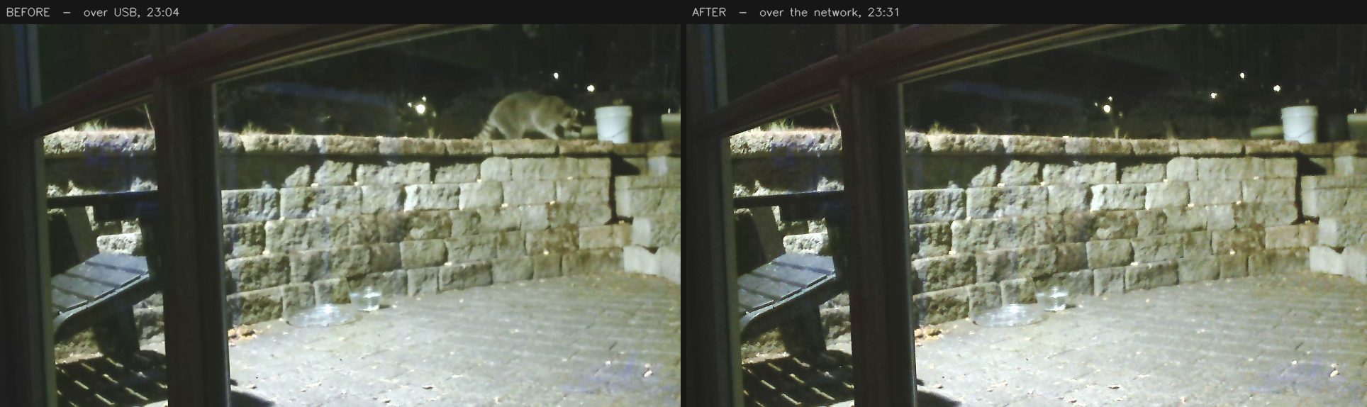 Two night frames of the same patio wall,
        side by side. On the left, taken over USB, a raccoon walks along the top of the wall. On the
        right, taken half an hour later over the network, the identical view without the raccoon.